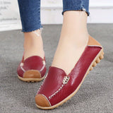 Clarissea | Elegance of Comfortable Urban Everyday Life