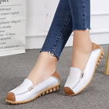 Clarissea | Elegance of Comfortable Urban Everyday Life