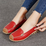 Clarissea | Elegance of Comfortable Urban Everyday Life