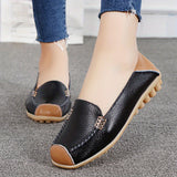 Clarissea | Elegance of Comfortable Urban Everyday Life