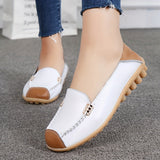 Clarissea | Elegance of Comfortable Urban Everyday Life