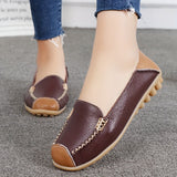 Clarissea | Elegance of Comfortable Urban Everyday Life