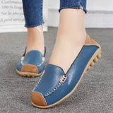 Clarissea | Elegance of Comfortable Urban Everyday Life