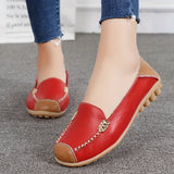 Clarissea | Elegance of Comfortable Urban Everyday Life
