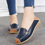 Clarissea | Elegance of Comfortable Urban Everyday Life