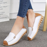 Clarissea | Elegance of Comfortable Urban Everyday Life