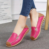 Clarissea | Elegance of Comfortable Urban Everyday Life